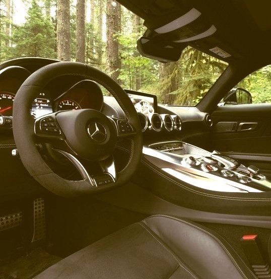 Mercedes-Benz AMG GT (Instagram @strombergtherever)
